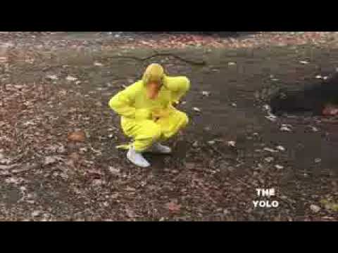 Si ves a este pato corre