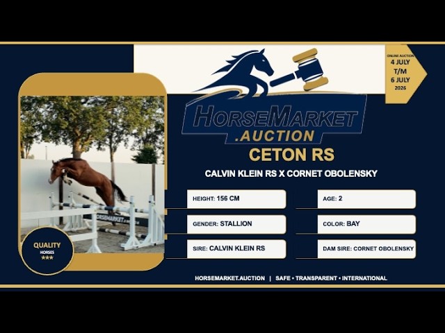 Ceton RS