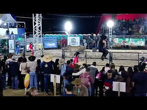 Exibição de rodeio na Xxv exposição agropecuária em bom sucesso mg