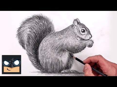 Realistic Squirrel Drawing