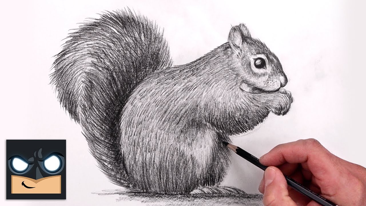 How To Draw a Squirrel | Beginner Pencil Sketch Tutorial (Step-by-Step)