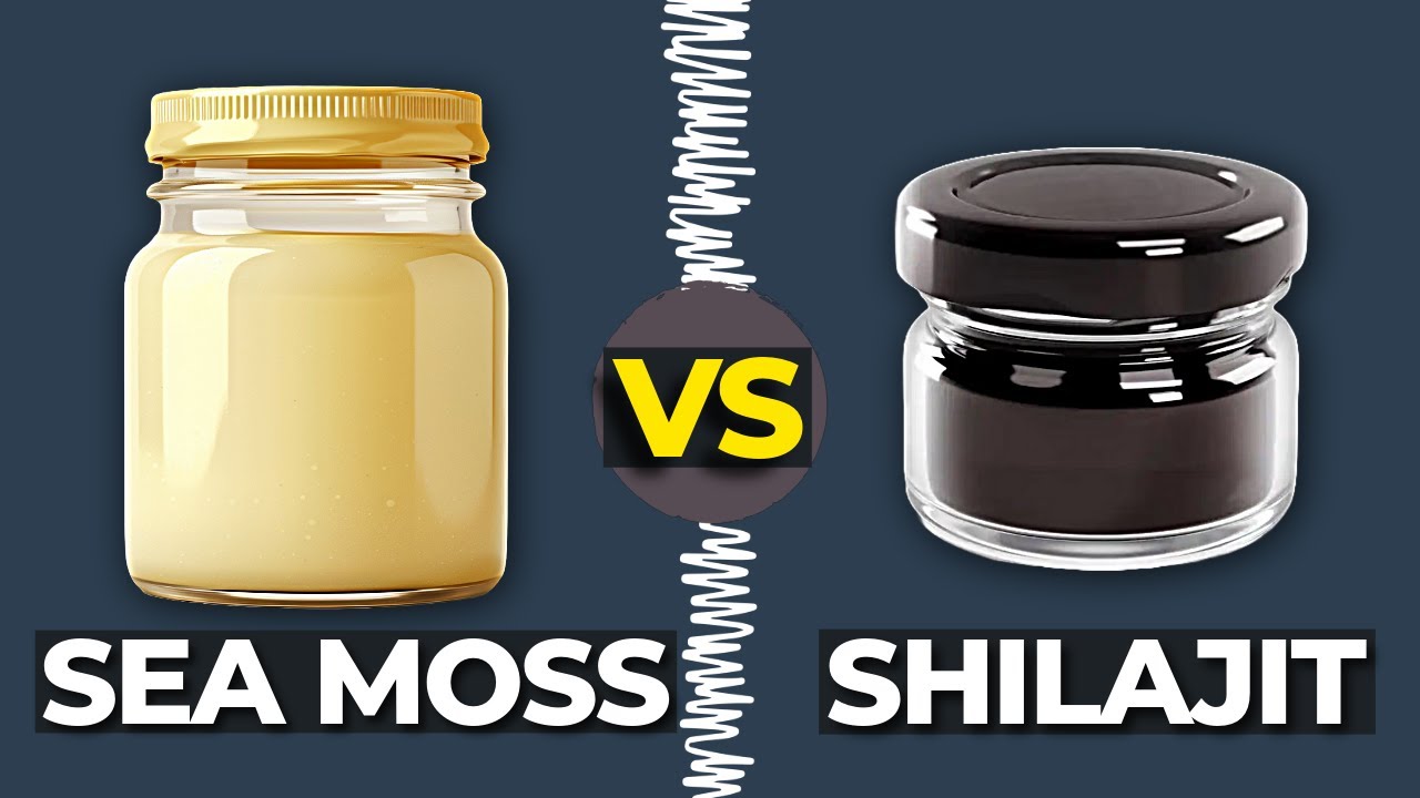 Sea Moss vs Shilajit: Which Should You Take?