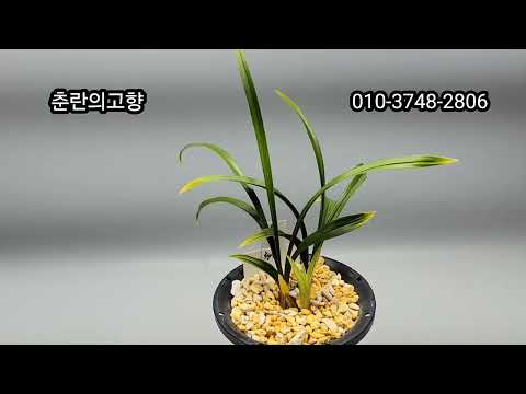 유튜브 썸네일