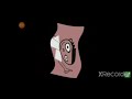 Pbs Kids Dash Logo Effects In Z Major 9 Speed X2