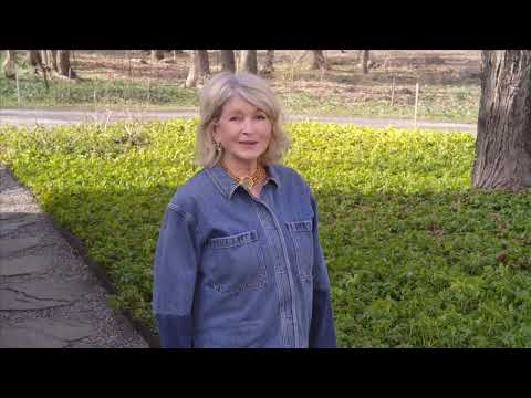 ASK MARTHA: Martha’s Hard-Working Shrubs for Year-Round Curb Appeal