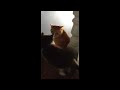 Tuxedo Kitten Vs Orange Tabby Elder