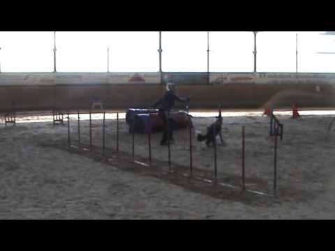 2016 03 26 Fin Snooker WAO