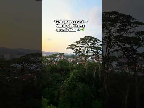 The Skywoods, 7 Dairy Farm Heights, Dairy Farm / Bukit Panjang / Choa Chu Kang, 3 Bedrooms, 947 sqft, Condominium For Sale, by Laven Loo 吕欣颐, 500270582 - PropertyGuru.com.sg