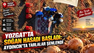 🧅🌾 Yozgat’ta Soğan Hasadı Başladı: Aydıncık’ta Tarlalar Şenlendi