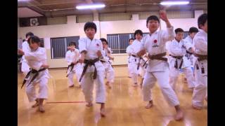 preview picture of video 'JKA GIFU（Basic movement  lesson)日本空手協会　岐阜県本部道場　（移動稽古の様子）'