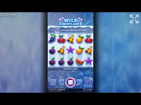 Wild Snowflakes – Video Gameplay