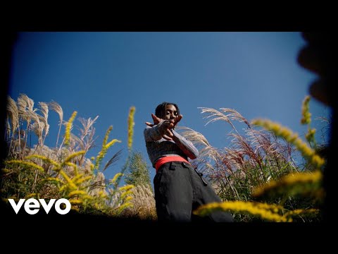 Flohio - Wild Yout (Official Video)