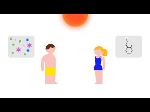 Uv Index Boston