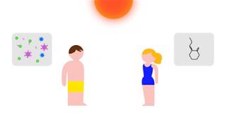 UV Index Explained