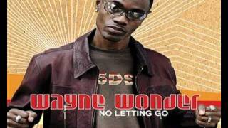 Wayne Wonder - Glad You Came My Way