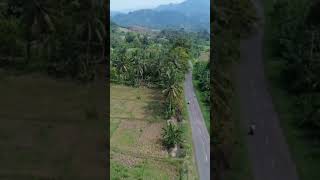 Download lagu #pro2 #tanjungpinanghitz #wulan mp3