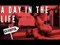 5 WEEKS OUT MR.OLYMPIA | A DAY IN THE LIFE