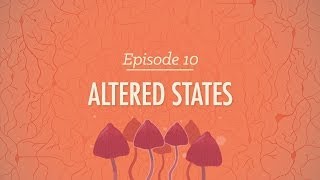 Altered States: Crash Course Psychology #10