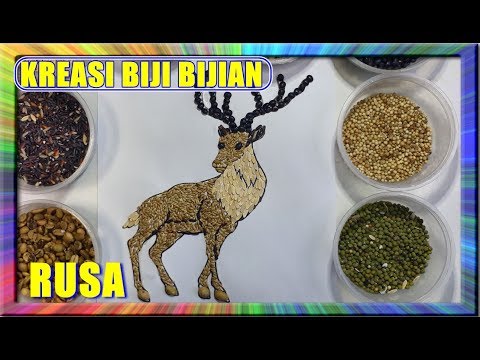 92 Kolase Hewan Dr Biji2an Gratis