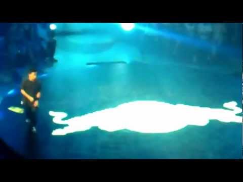 VICIOUS VICTOR vs ISSEI  RED BULL BC ONE 2012