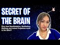 The Neurological Science Behind Shifting, Manifestation, Meditation, and Astral Projection!
