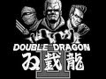 Classic Old Games Double Dragon 2 GB