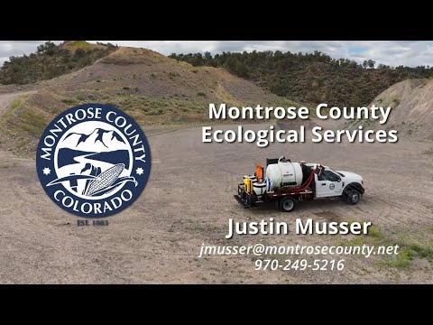 Montrose County Eagleweb