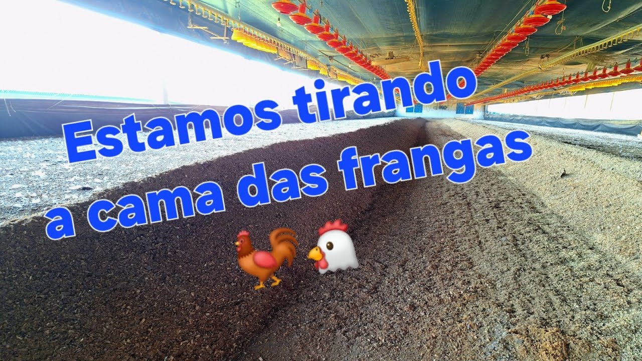 Muita cama pra tirar 😮 😲