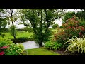 Beautiful Natural Picture