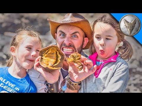 Sea Creature Adventure!