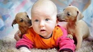 Дети и животные 2 ● Приколы с животными осень 2014 ● Dogs, Cats & Cute Babies Compilation ● Part 2