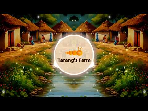 Video 5