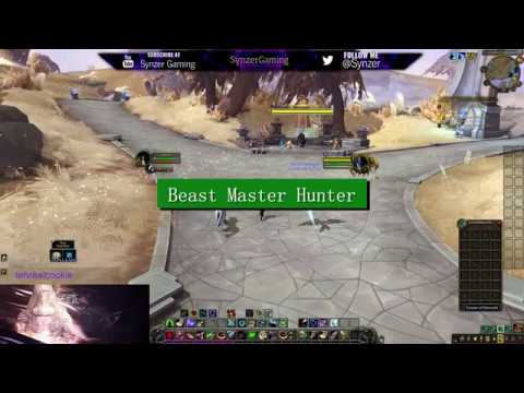 WoW Shadowlands Alpha - Beast Master Hunter First Look
