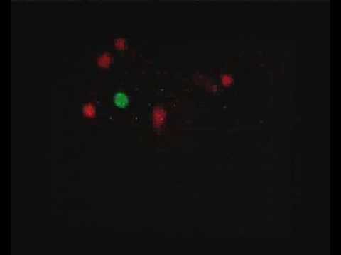 Floex - Multimedia Installation "RGB 1.0"