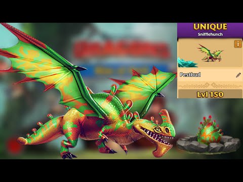 Pestbud Max Level 150 Titan Mode - Unique Snifflehunch - Dragons:Rise of Berk
