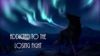 Jaymes Young - Northern Lights (Lyrics)