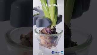 #GreenChoicesforBetterFuture  Dobot is proud to join the global movement for World Earth Day! 🌍