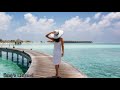 Jador X Lino Golden DIVE MALDIVE Lyrics
