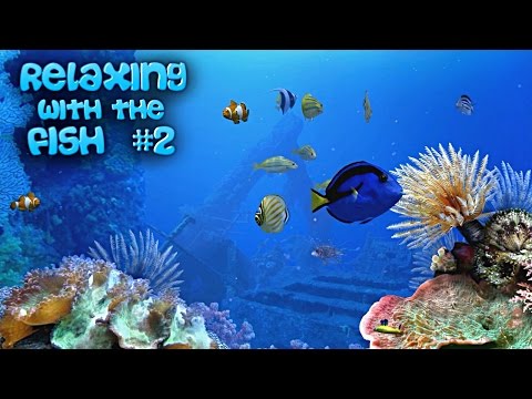 aqua real 2 screensaver free download aqua real 2 screensaver free download