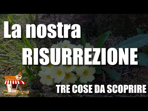 Che cos'è la RISURREZIONE? Tre cose da scoprire per capire la NOSTRA resurrezione (433)
