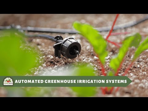 Systèmes d'irrigation automatisés pour serres