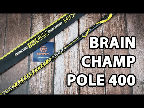 Махове вудлище Brain Champ Pole 400 (телескопічне, без кілець, з конектором) + чохол