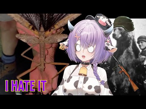 Australia Wildlife is on hard mode (More Parz Reaction)