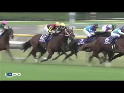 2016.10.30 Tenno Sho (Autumn) (JPN) - Maurice