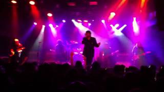 THE CHAMELEONS - Monkeyland (with lyrics)