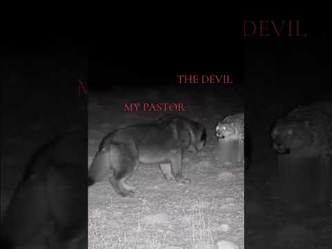 PRAISE OUR SAVIOR AND KING JESUS OF NAZARETH #bluecollar #recovery #jesus #king #lord