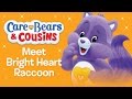 Care Bears Meet Bright Heart Raccoon