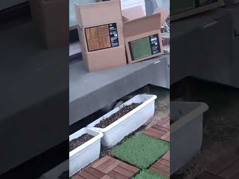 gazon artificiel sol-petit-balcon-fleuri