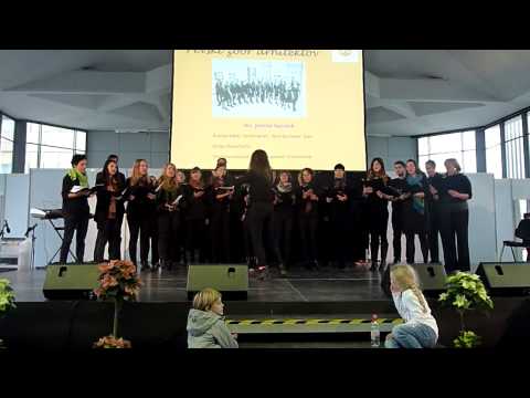 ISTARSKI TANAC br.1 - Branko Stark - SILA 2014