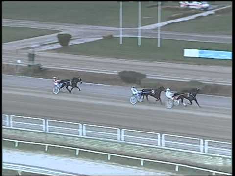 Trotto 26/10/2014 - 1° prova di riqualifica